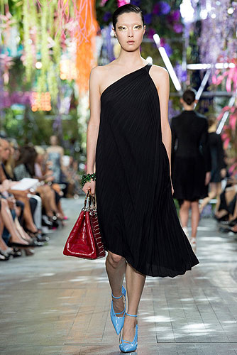 Fashion_Brands_Christian Dior_8585 - Paris Fashion Week